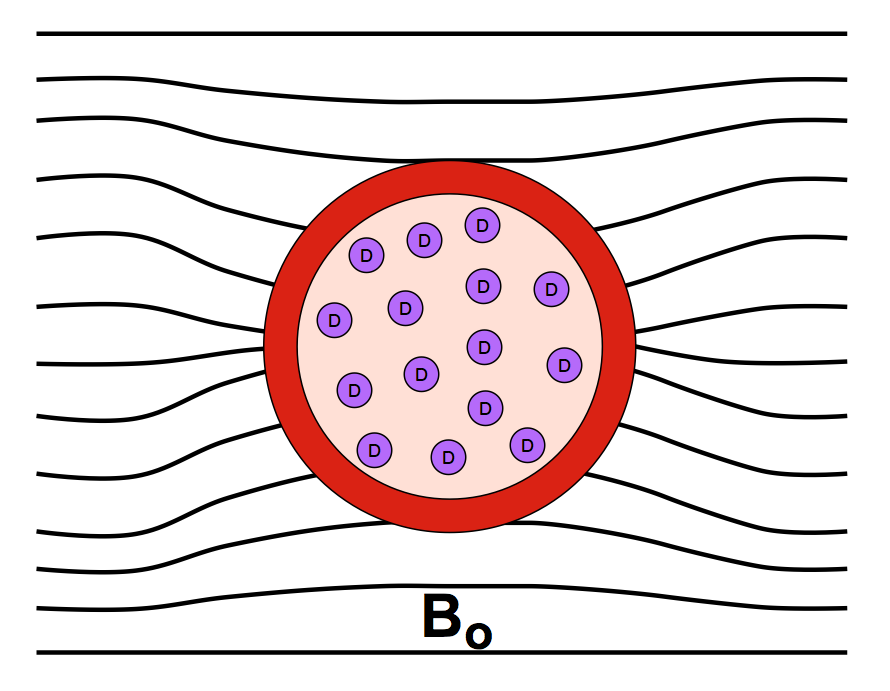 Paramagnetic deoxyhemoglobin