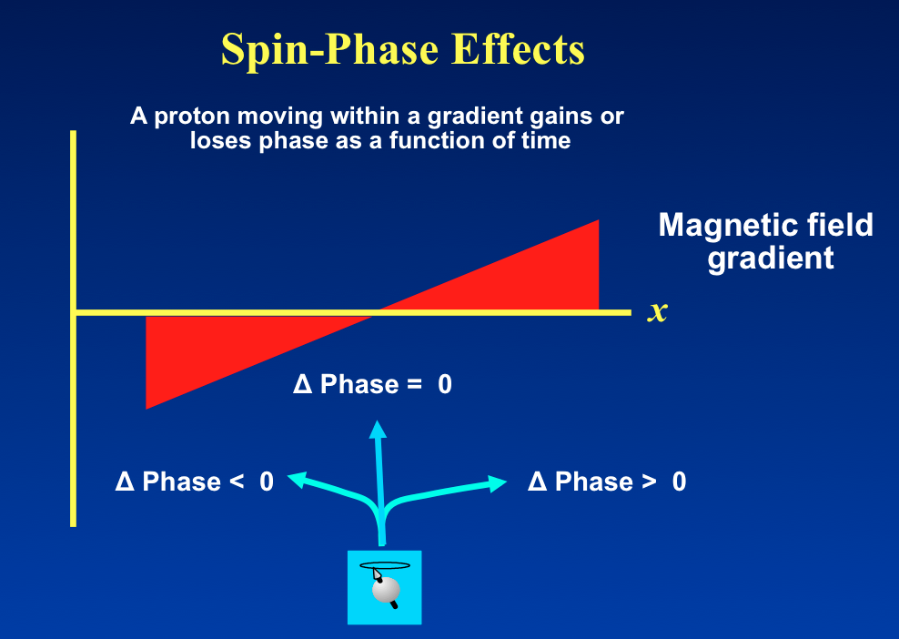buste Opbevares i køleskab Knogle Spin phase effects? - Questions and Answers ​in MRI