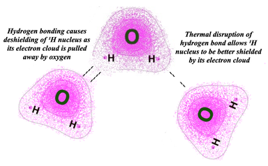 hydrogen bonding and proton chemical shift