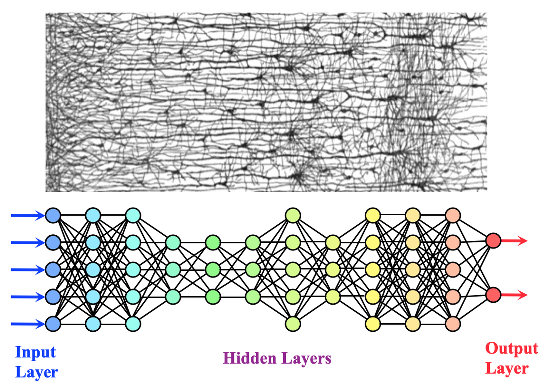 Learning how network structure shapes decision-making for bio-inspired  computing