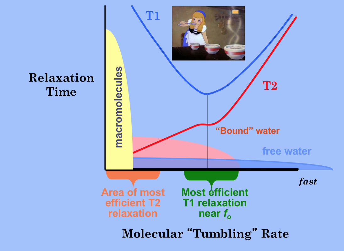 Measuring breast volume in hypertrophy: laser scanning or water