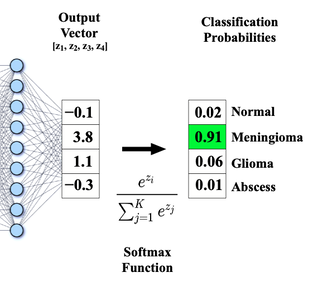 Softmax CNN - Questions And Answers In MRI