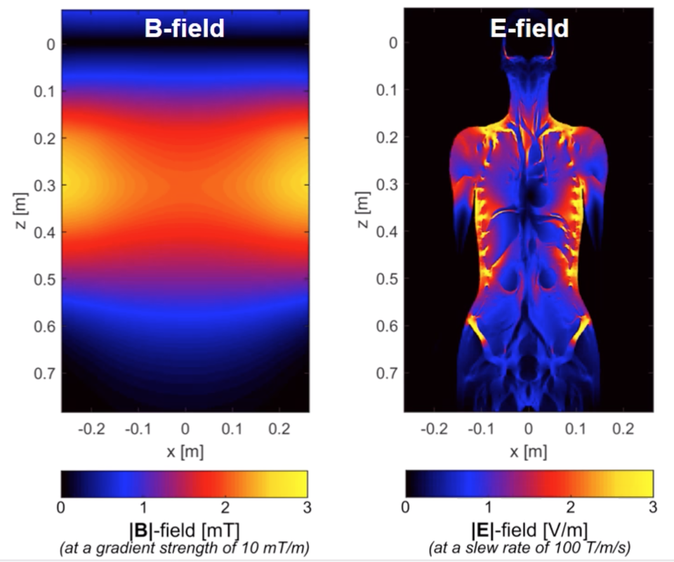 The stimuli used in the present study. Breast size (small and