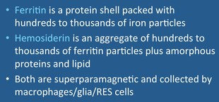 ferritin and hemosiderin mri