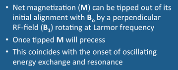 nuclear magnetization, NMR, precession