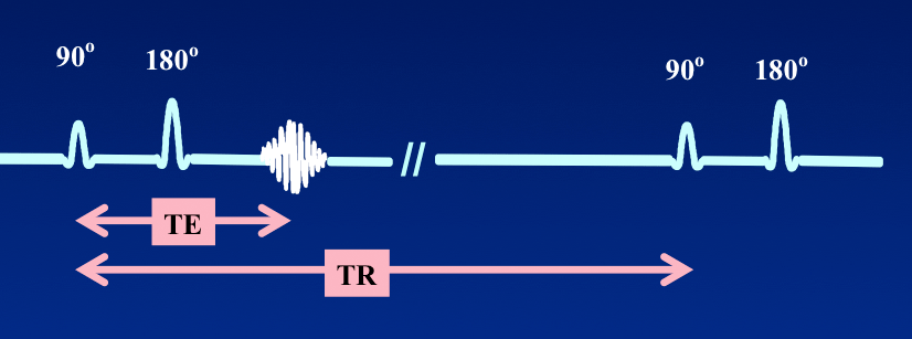 A: Simplified sequence scheme of a multi-echo turbo spin echo (ME-TSE)