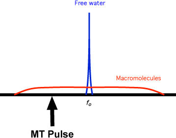 MRI magnetization transfer, MT pulse