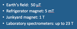Magnetic field strength - Questions and Answers ​in MRI