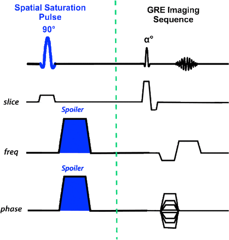 saturation pulses