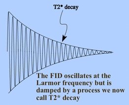 Free induction decay (FID)