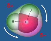 polar water molecule